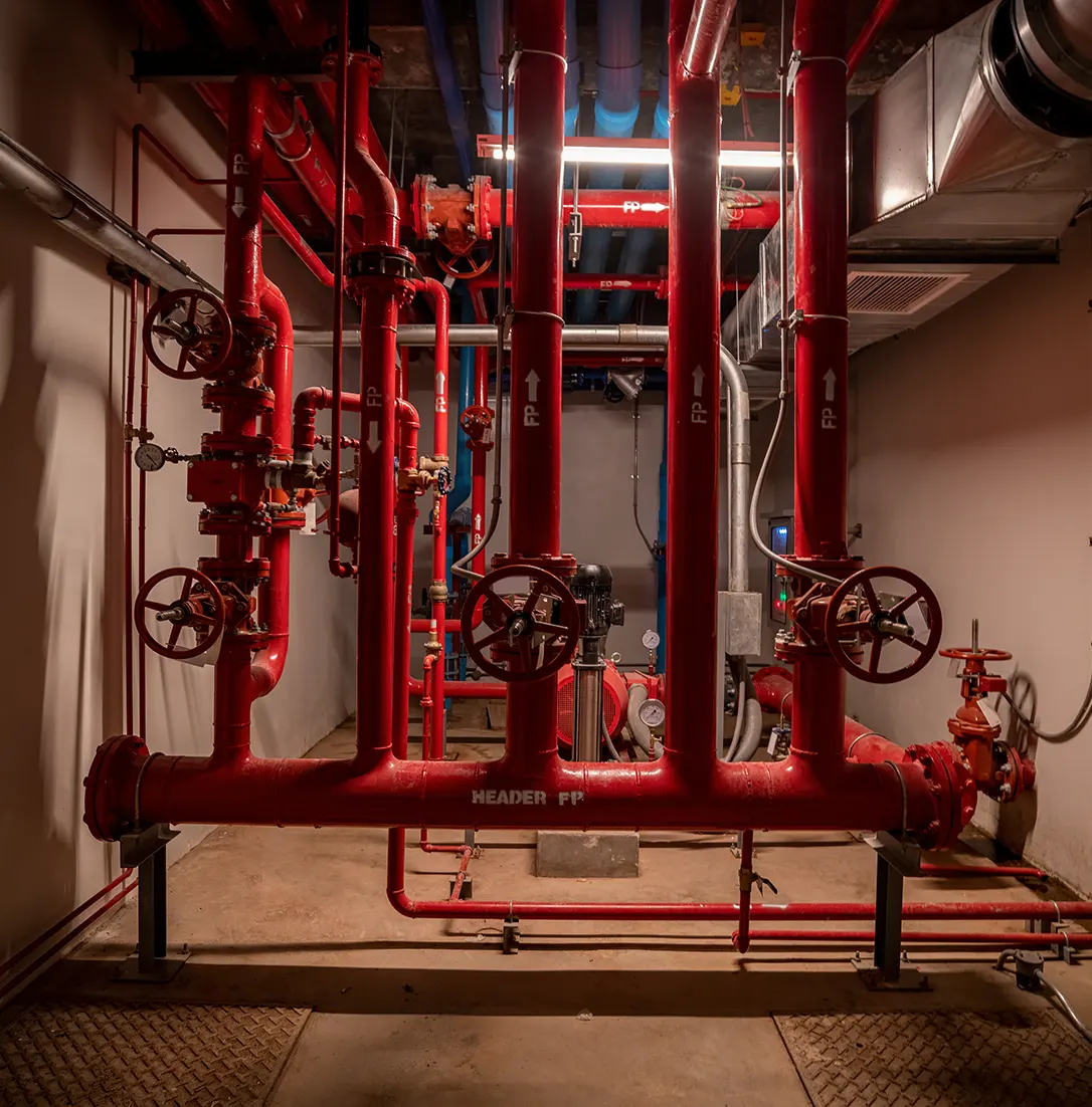 The Distribution System